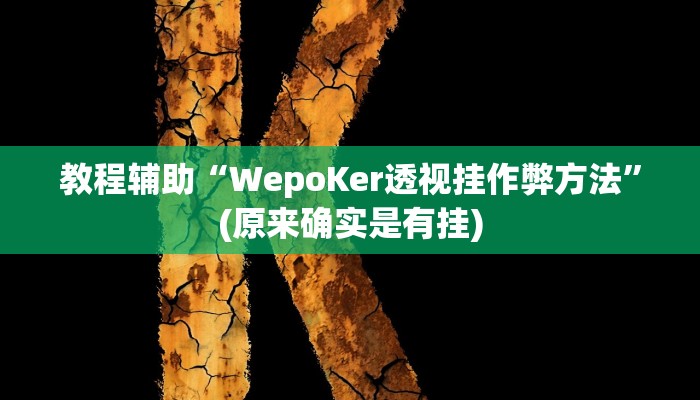 教程辅助“智星德州菠萝开挂神器软件下载”(原来确实是有挂)