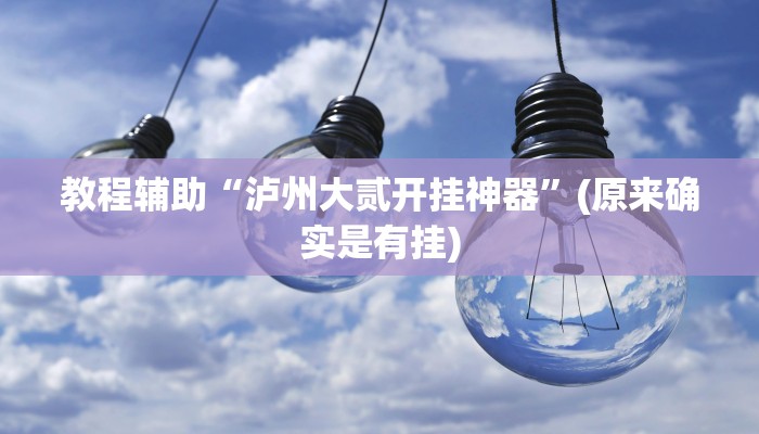 教程辅助“泸州大贰开挂神器”(原来确实是有挂)