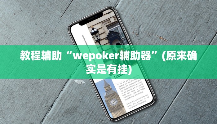 教程辅助“wepoker辅助器”(原来确实是有挂)