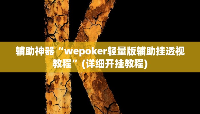 辅助神器“wepoker轻量版辅助挂透视教程”(详细开挂教程)