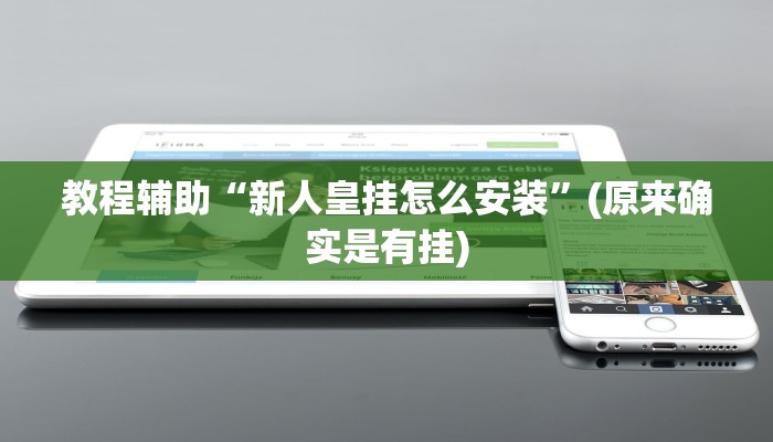 教程辅助“新人皇挂怎么安装”(原来确实是有挂)