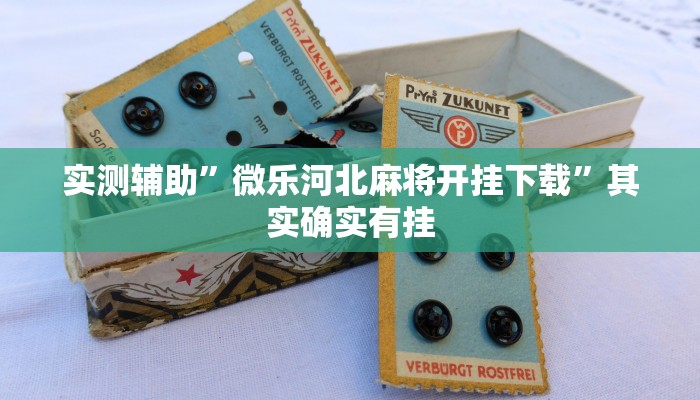 实测辅助”微乐河北麻将开挂下载”其实确实有挂