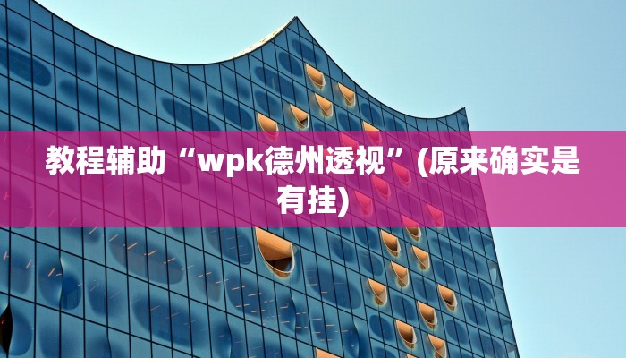 教程辅助“wpk德州透视”(原来确实是有挂)