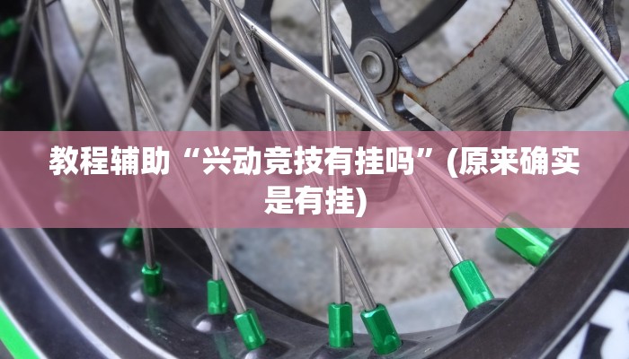 教程辅助“享博棋牌开挂怎么使用的”(原来确实是有挂)