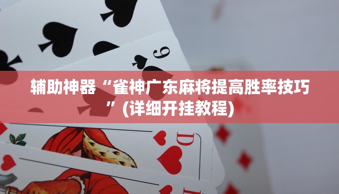 辅助神器“雀神广东麻将提高胜率技巧”(详细开挂教程)
