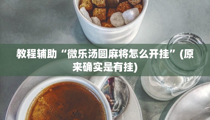 教程辅助“微乐汤圆麻将怎么开挂”(原来确实是有挂)