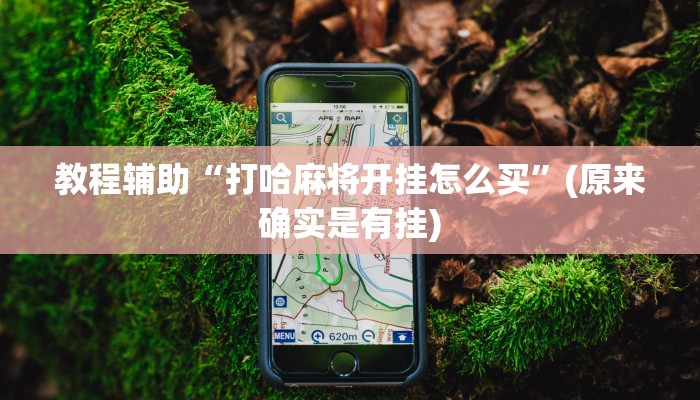 教程辅助“打哈麻将开挂怎么买”(原来确实是有挂)