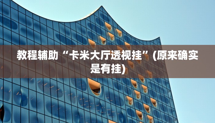 教程辅助“卡米大厅透视挂”(原来确实是有挂)