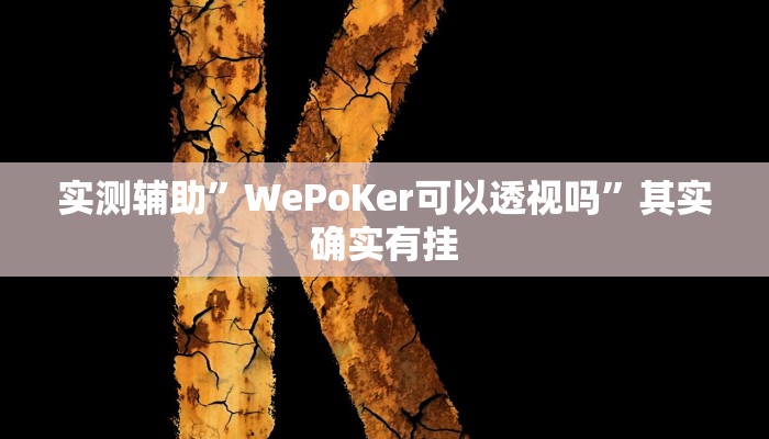实测辅助”WePoKer可以透视吗”其实确实有挂