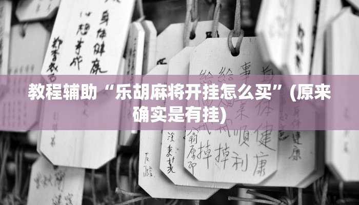 教程辅助“乐胡麻将开挂怎么买”(原来确实是有挂)