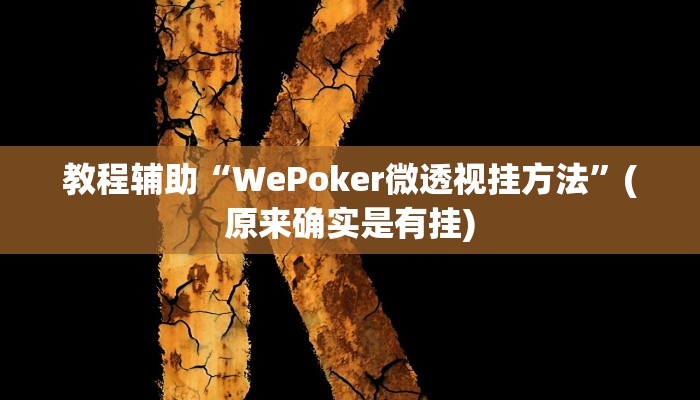 教程辅助“WePoker微透视挂方法”(原来确实是有挂)