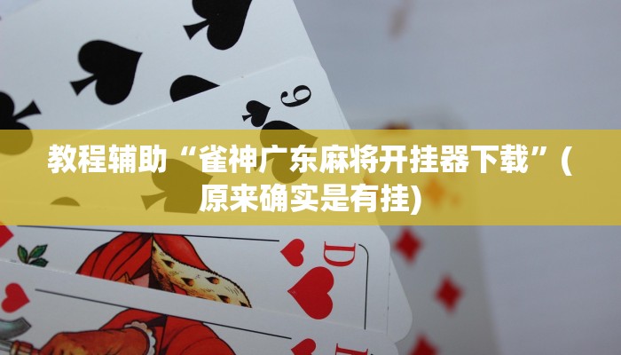 教程辅助“雀神广东麻将开挂器下载”(原来确实是有挂)