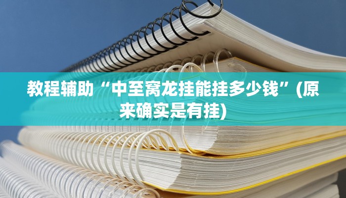 教程辅助“中至窝龙挂能挂多少钱”(原来确实是有挂)