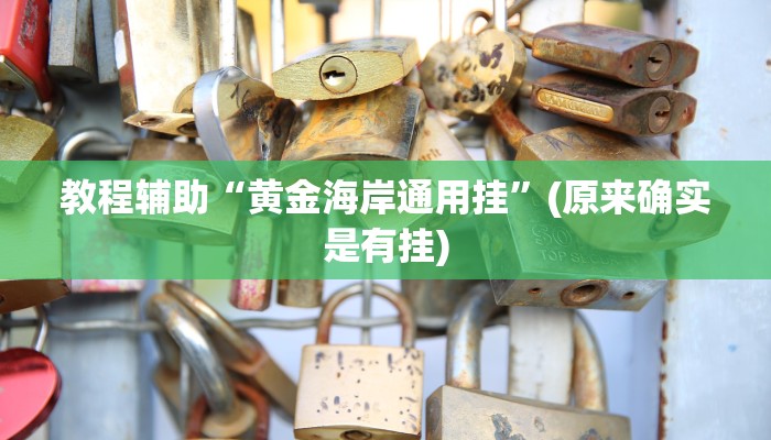 教程辅助“黄金海岸通用挂”(原来确实是有挂)