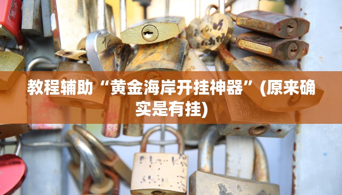 教程辅助“黄金海岸开挂神器”(原来确实是有挂)
