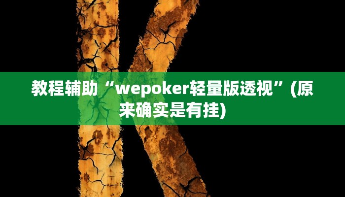 教程辅助“wepoker轻量版透视”(原来确实是有挂)