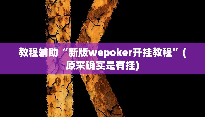 教程辅助“新版wepoker开挂教程”(原来确实是有挂)