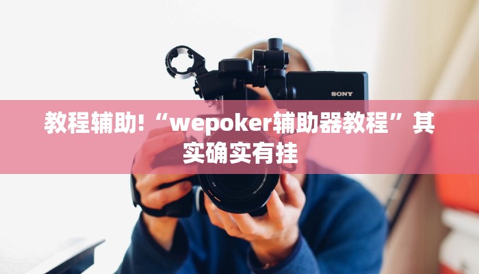 教程辅助!“wepoker辅助器教程”其实确实有挂
