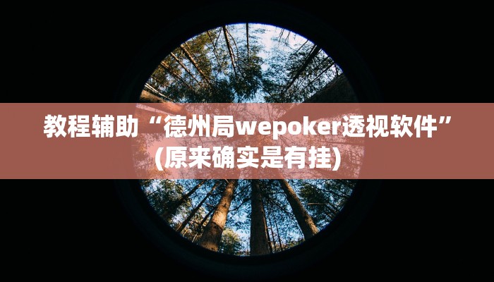 教程辅助“德州局wepoker透视软件”(原来确实是有挂)