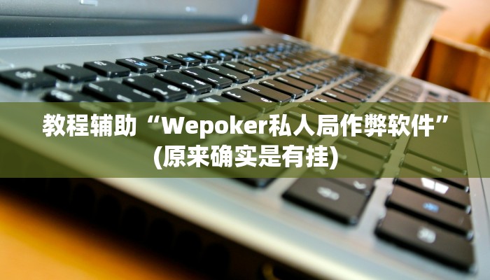 教程辅助“Wepoker私人局作弊软件”(原来确实是有挂)