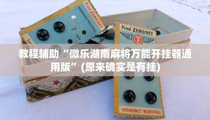 教程辅助“微乐湖南麻将万能开挂器通用版”(原来确实是有挂)