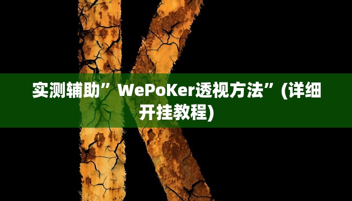 实测辅助”WePoKer透视方法”(详细开挂教程)