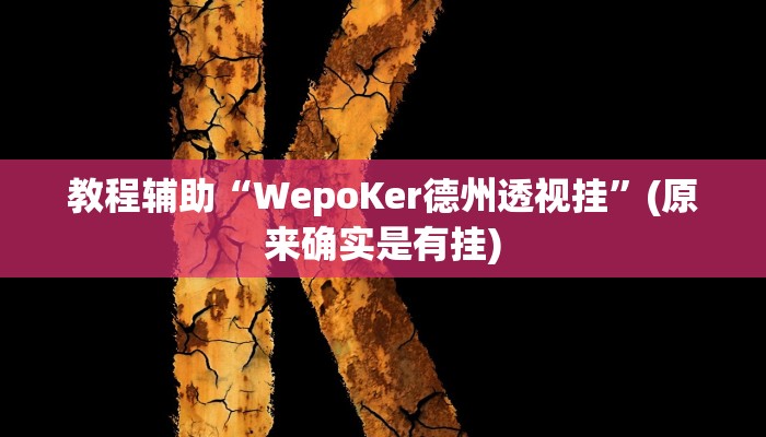 教程辅助“WepoKer德州透视挂”(原来确实是有挂)