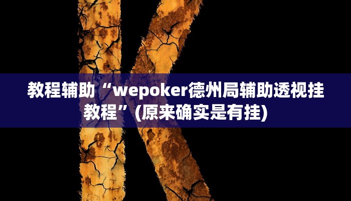 教程辅助“wepoker德州局辅助透视挂教程”(原来确实是有挂)