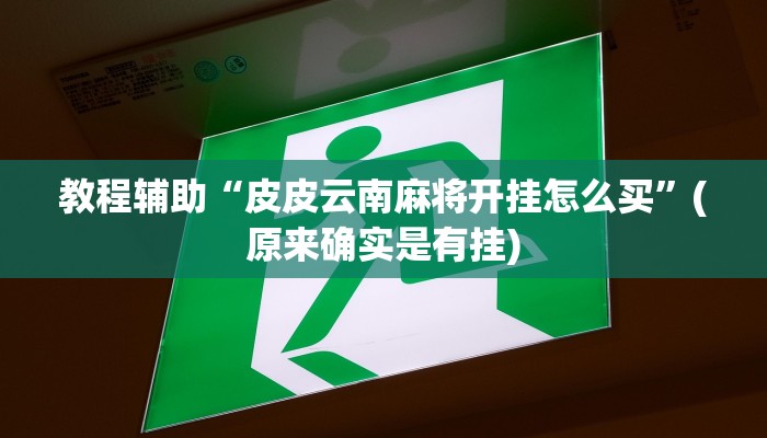 教程辅助“皮皮云南麻将开挂怎么买”(原来确实是有挂)