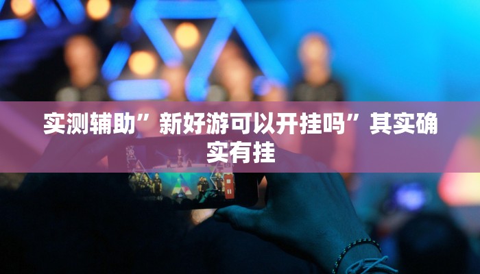 实测辅助”新好游可以开挂吗”其实确实有挂