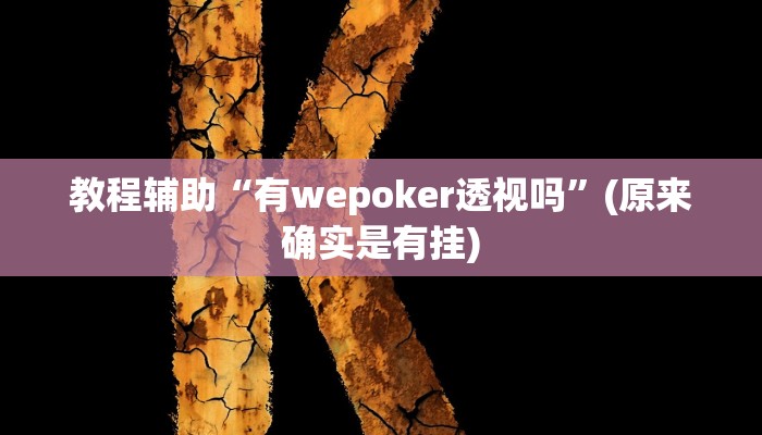 教程辅助“有wepoker透视吗”(原来确实是有挂)