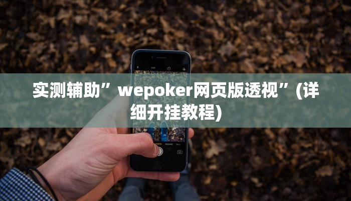 教程辅助“微信麻将开挂神器”(原来确实是有挂)