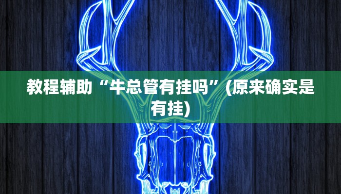 教程辅助“牛总管有挂吗”(原来确实是有挂)