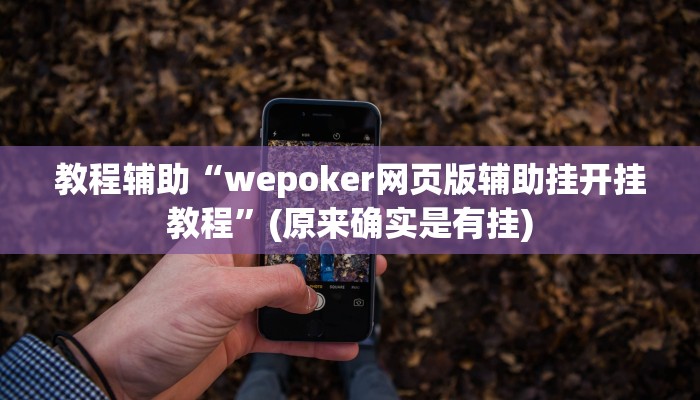 教程辅助“wepoker网页版辅助挂开挂教程”(原来确实是有挂)