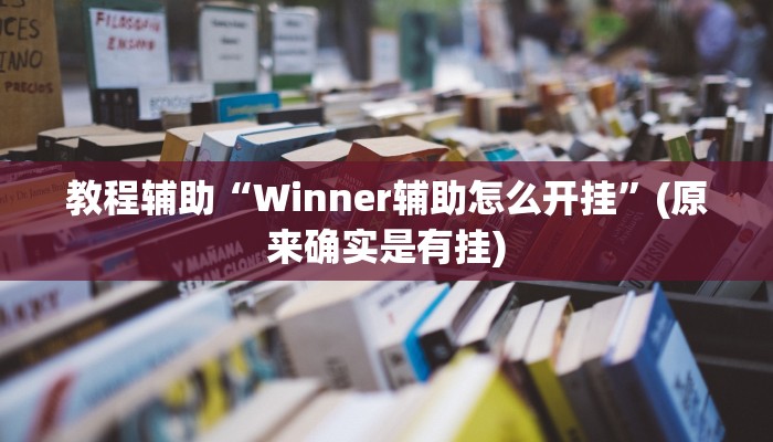 教程辅助“Winner辅助怎么开挂”(原来确实是有挂)