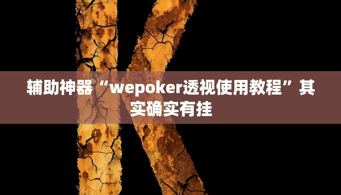 辅助神器“wepoker透视使用教程”其实确实有挂