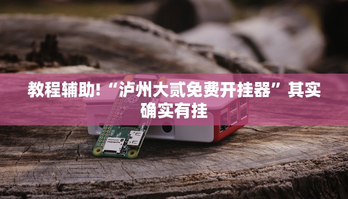 教程辅助!“泸州大贰免费开挂器”其实确实有挂