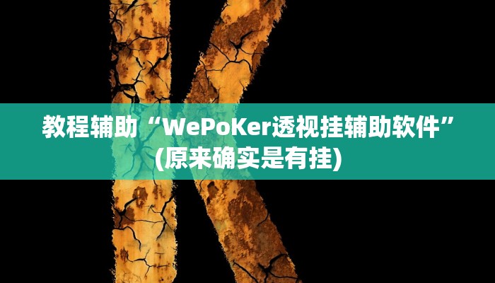教程辅助“WePoKer透视挂辅助软件”(原来确实是有挂)