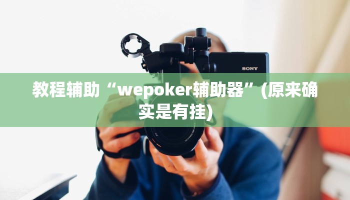 教程辅助“wepoker辅助器”(原来确实是有挂)