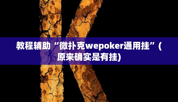 教程辅助“微扑克wepoker通用挂”(原来确实是有挂)