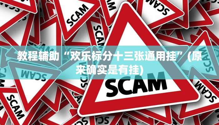 教程辅助“欢乐标分十三张通用挂”(原来确实是有挂)