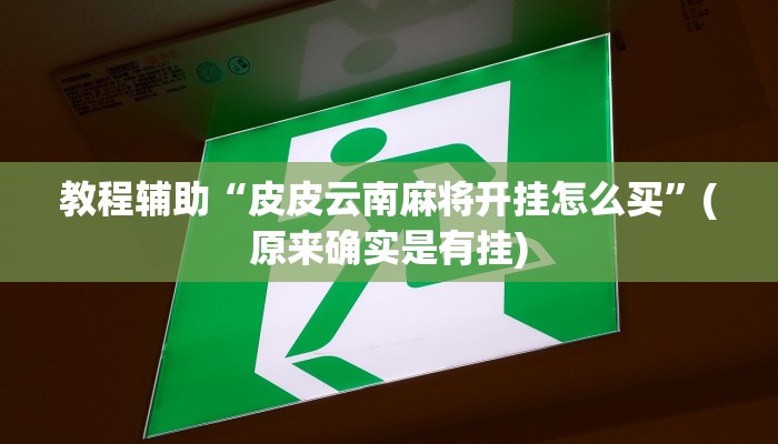 教程辅助“皮皮云南麻将开挂怎么买”(原来确实是有挂)