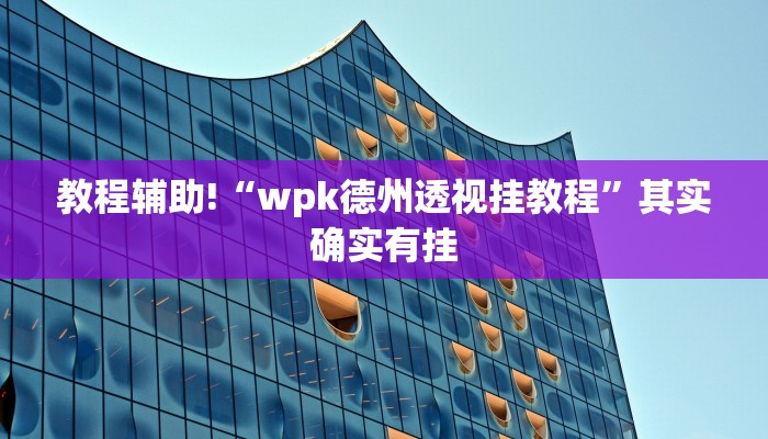教程辅助!“wpk德州透视挂教程”其实确实有挂