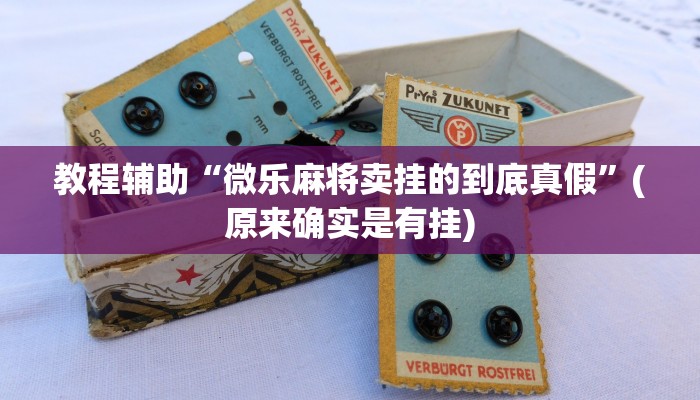 教程辅助“微乐麻将卖挂的到底真假”(原来确实是有挂)