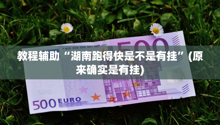 教程辅助“湖南跑得快是不是有挂”(原来确实是有挂)