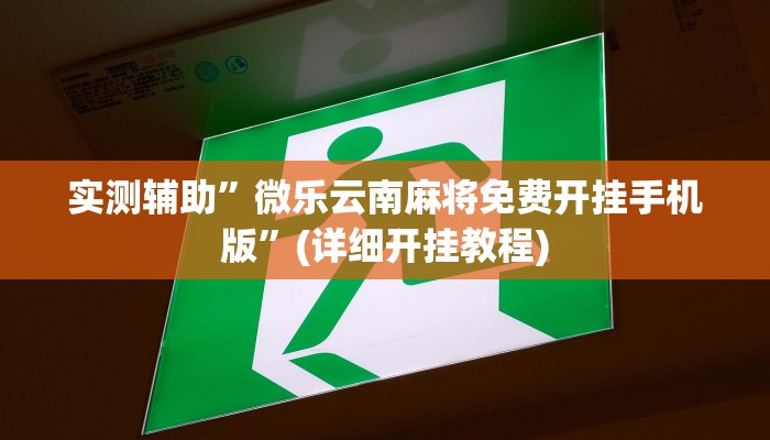 实测辅助”微乐云南麻将免费开挂手机版”(详细开挂教程)