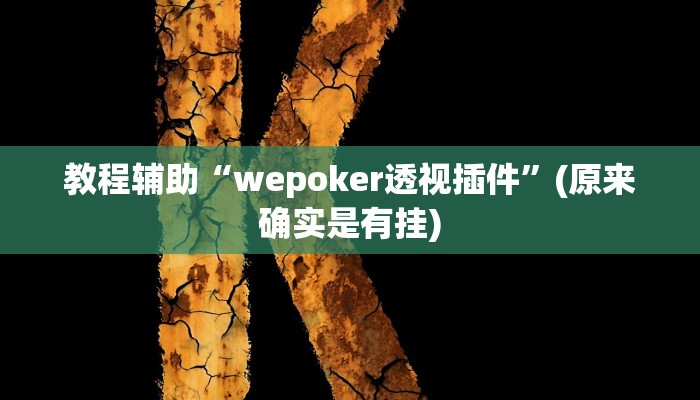 教程辅助“wepoker透视插件”(原来确实是有挂)