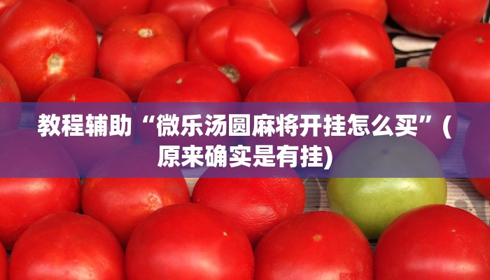 教程辅助“微乐汤圆麻将开挂怎么买”(原来确实是有挂)