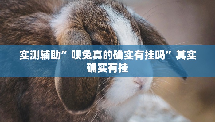 实测辅助”呗兔真的确实有挂吗”其实确实有挂