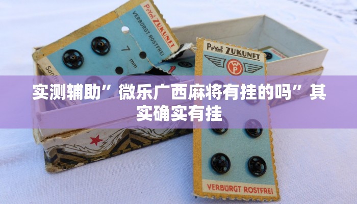实测辅助”微乐广西麻将有挂的吗”其实确实有挂